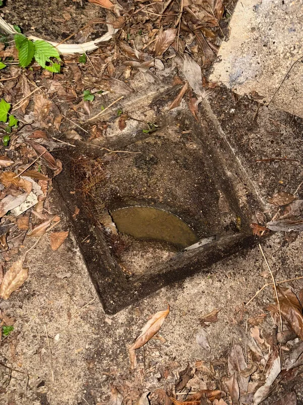 Regard d'évacuation extérieur bouché avec eau stagnante